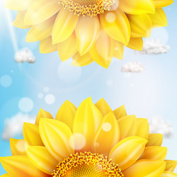 Similar image 11808846