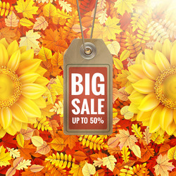 Similar image 11808847