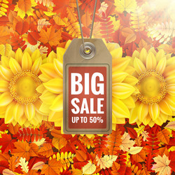 Similar image 11808860