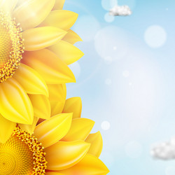 Similar image 11808861