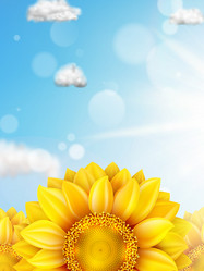 Similar image 11809155