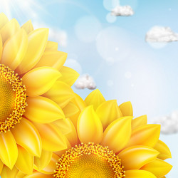 Similar image 11809174