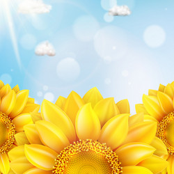 Similar image 11809175