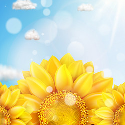 Similar image 11809176