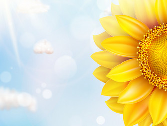 Similar image 11809195