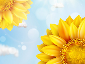 Similar image 11809228