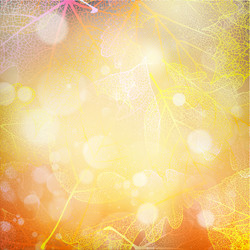 Similar image 11806636