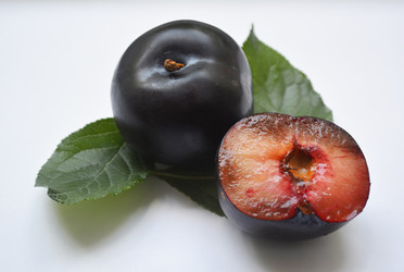 Similar image 11783069