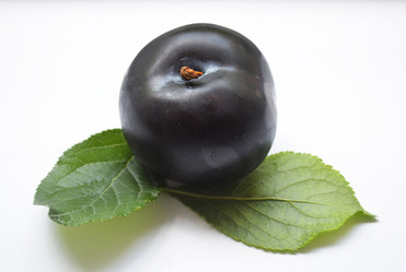 Similar image 11783070