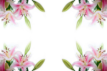 Similar image 11783942