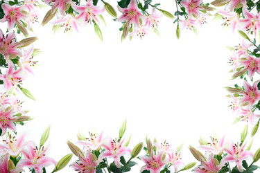 Similar image 11783953