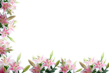 Similar image 11783957