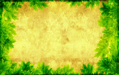 Similar image 11790259