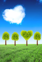 Similar image 11790261