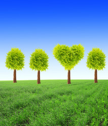 Similar image 11790262