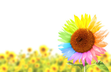 Similar image 11790263