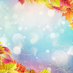 Similar image 11808531