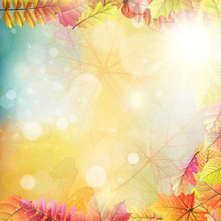 Similar image 11808547