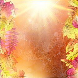 Similar image 11808549