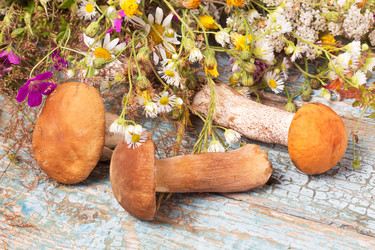 Similar image 11790628