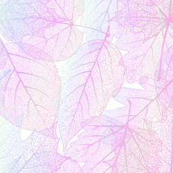 Similar image 11806836