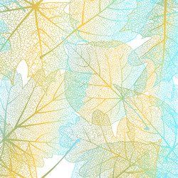 Similar image 11806851