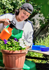 Similar image 11795464