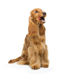 Similar image 11802500