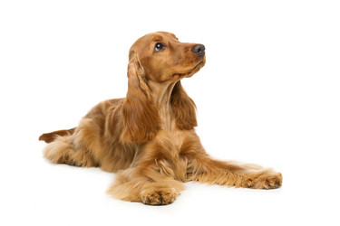 Similar image 11802573