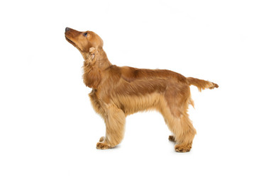 Similar image 11802575