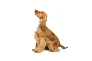 Similar image 11802614