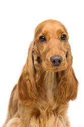 Similar image 11802689