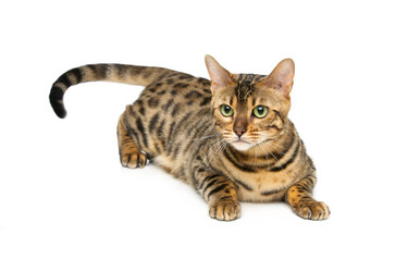 Similar image 11802695