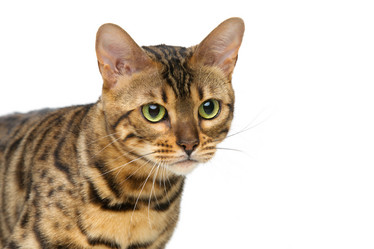 Similar image 11802696