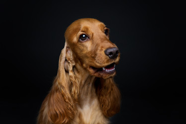 Similar image 11802738