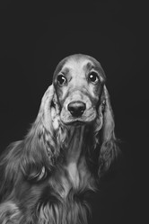 Similar image 11802739