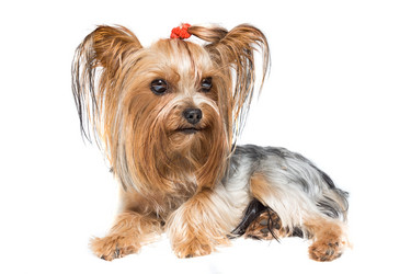 Similar image 11790647