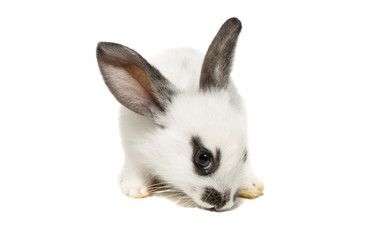 Similar image 11790648