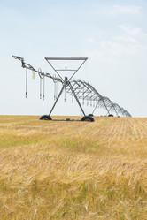 Similar image 11790649