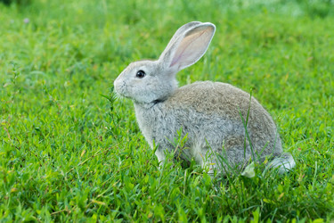 Similar image 11790675