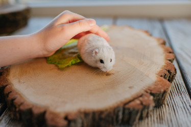 Similar image 11783666