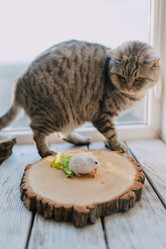 Similar image 11783668