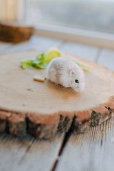 Similar image 11783670