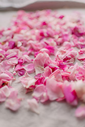 Similar image 11783866