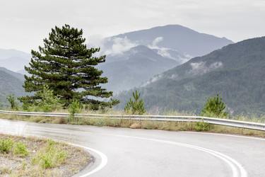 Similar image 11800910