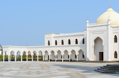 Similar image 11795445