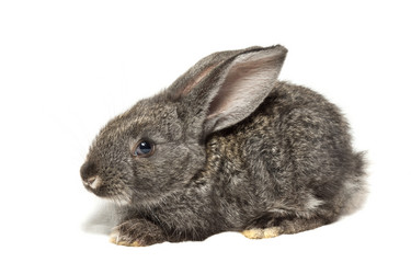 Similar image 11790677