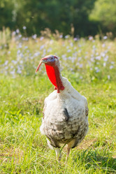 Similar image 11790679