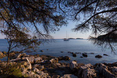 Similar image 11834125