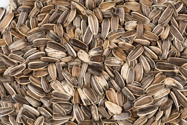 Similar image 11834145